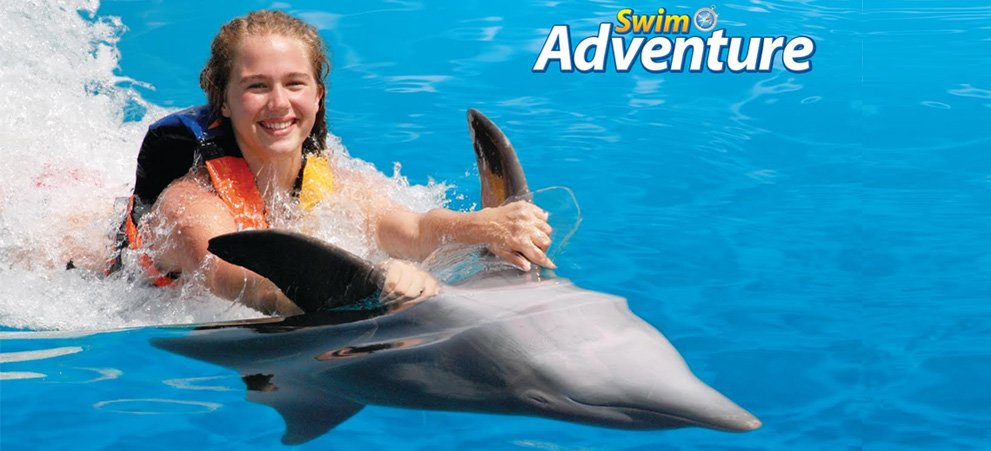 Swim with the Dolphins tour Punta Cana