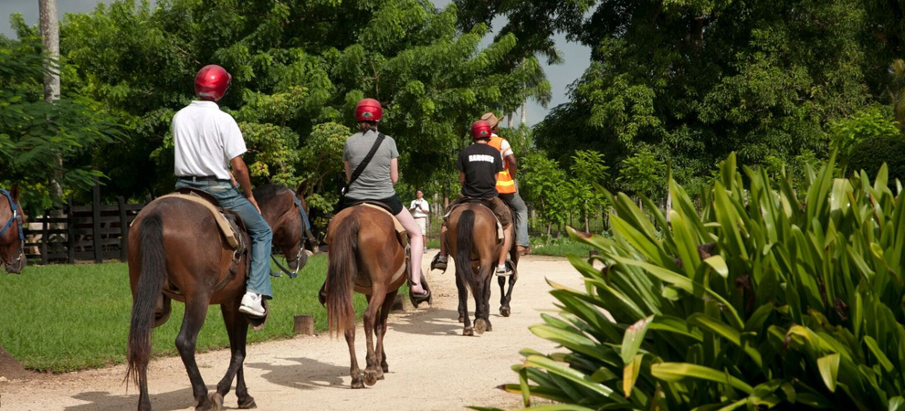 horseback riding