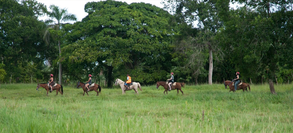 horseback riding