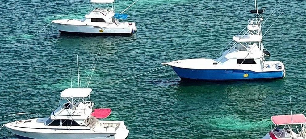 Deep Sea Fishing Boats Punta Cana Dominican Republic