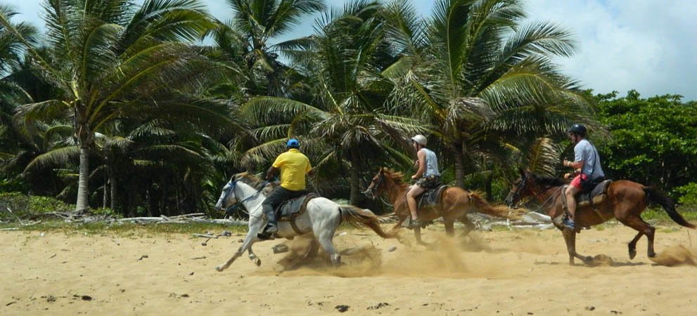 Group horseback riding on the beach in punta cana