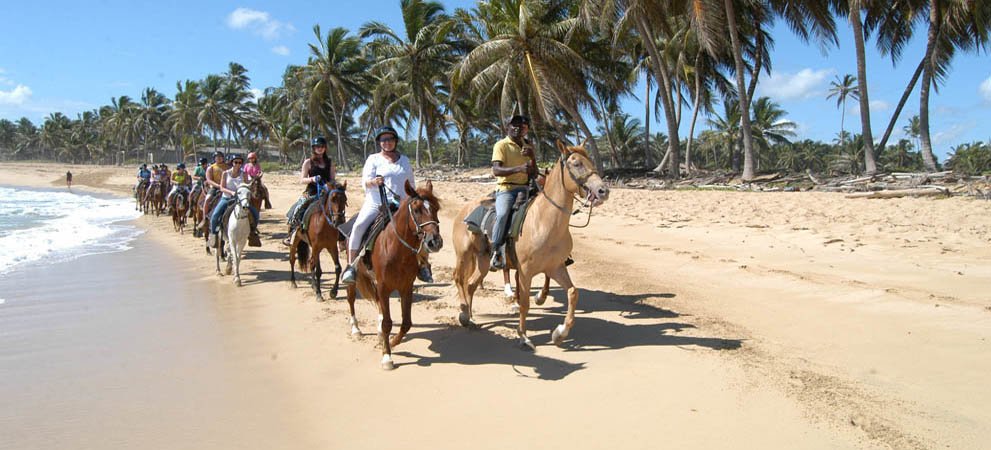 Group slowly horseback riding on the beach in punta cana