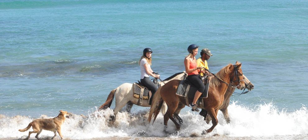 horseback riding in the sea in punta cana