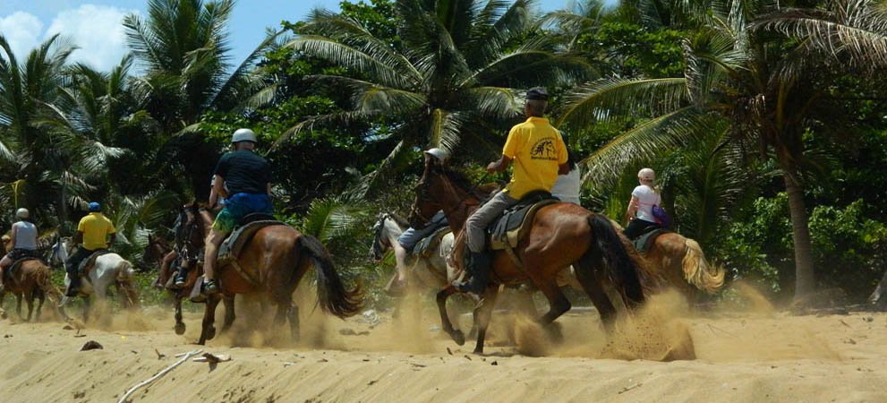 horseback riding on the beach in punta cana