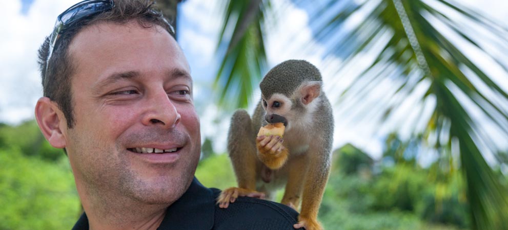 Monkey eating on tourist's shoulder
