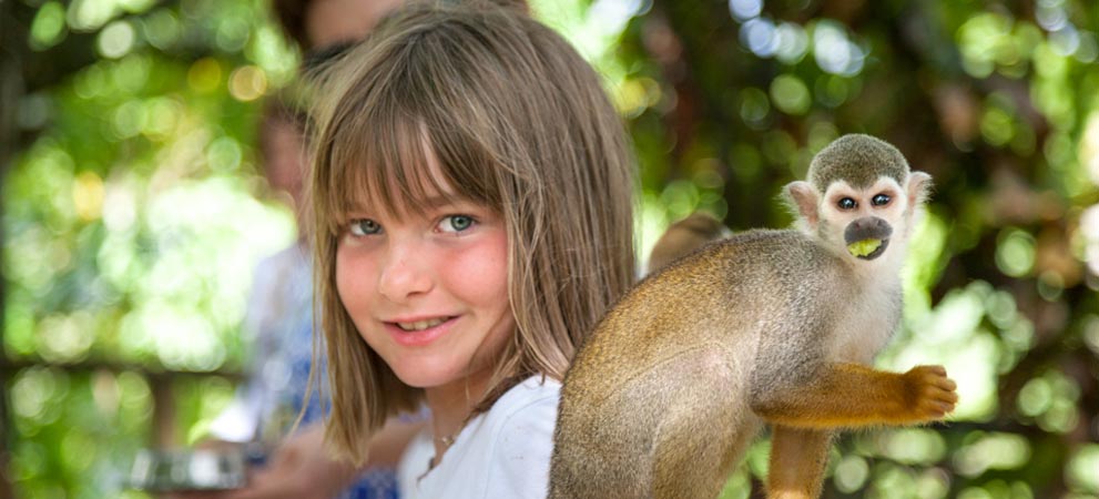 Monkey on girls's shoulder