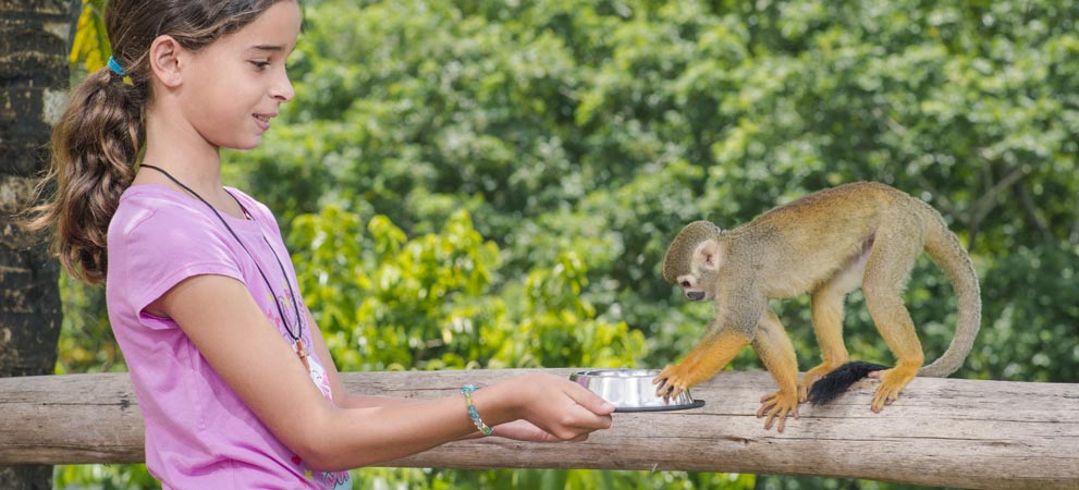 Girl feeding fruit to a monkey