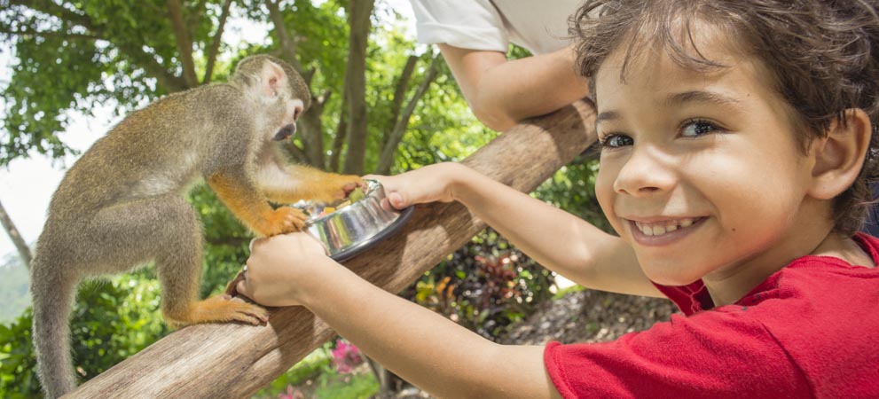 Boy smiling while interacting with a monkey