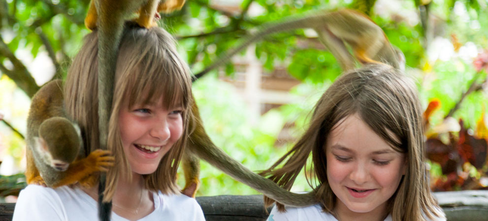 Girls playing with monkeys