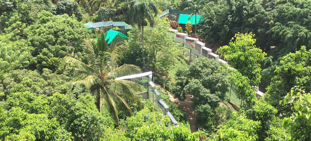 Monkey Safari is in the middle of beautiful Dominican mountains