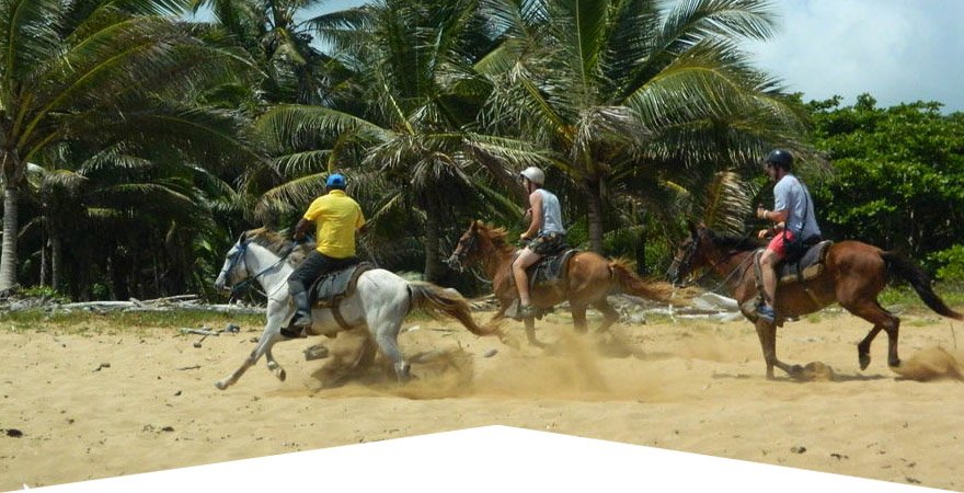 Horseback Tours - Punta Cana