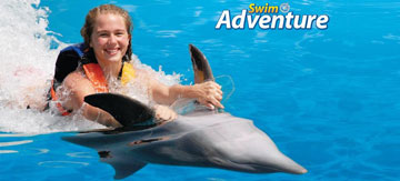 Swim with dolphins in Punta Cana