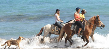 Horseback riding in Punta Cana