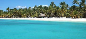 Tour to Saona Island from Punta Cana